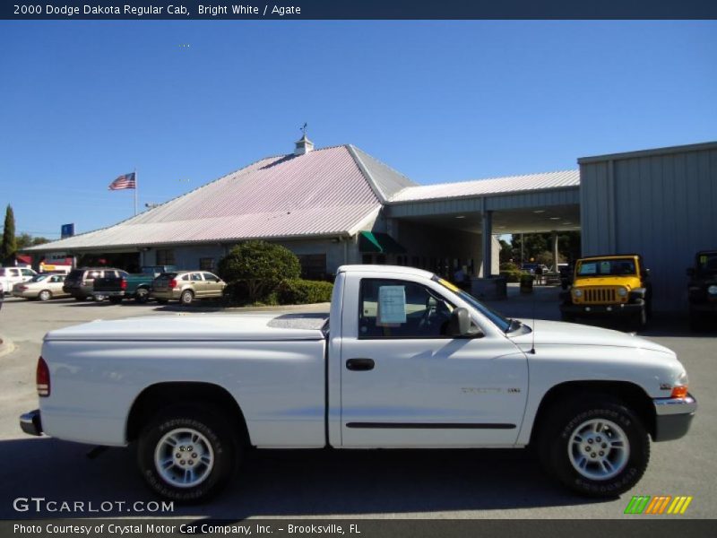 Bright White / Agate 2000 Dodge Dakota Regular Cab