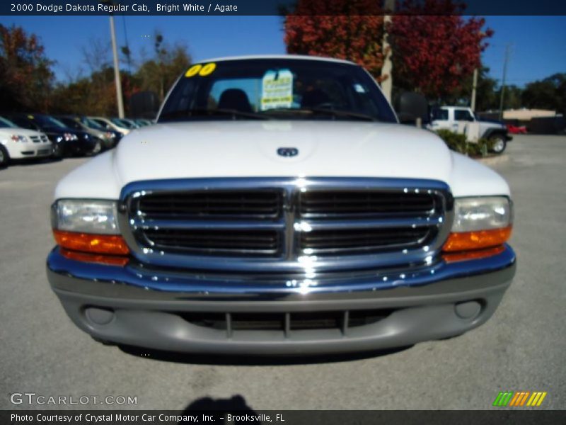 Bright White / Agate 2000 Dodge Dakota Regular Cab