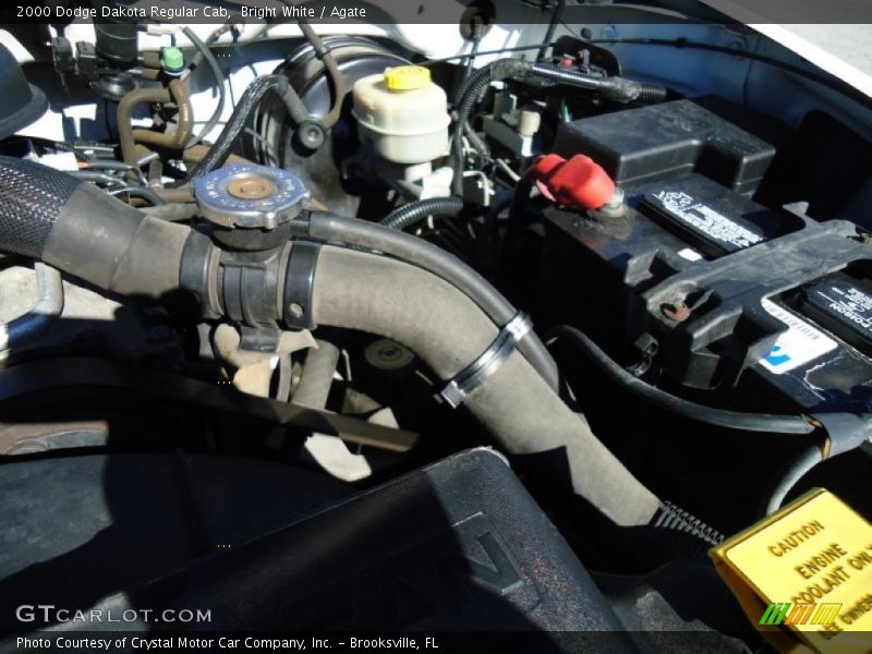 Bright White / Agate 2000 Dodge Dakota Regular Cab