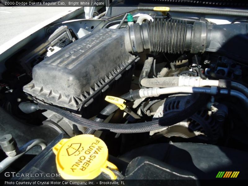 Bright White / Agate 2000 Dodge Dakota Regular Cab