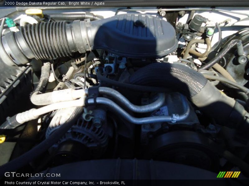 Bright White / Agate 2000 Dodge Dakota Regular Cab