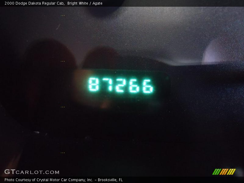 Bright White / Agate 2000 Dodge Dakota Regular Cab