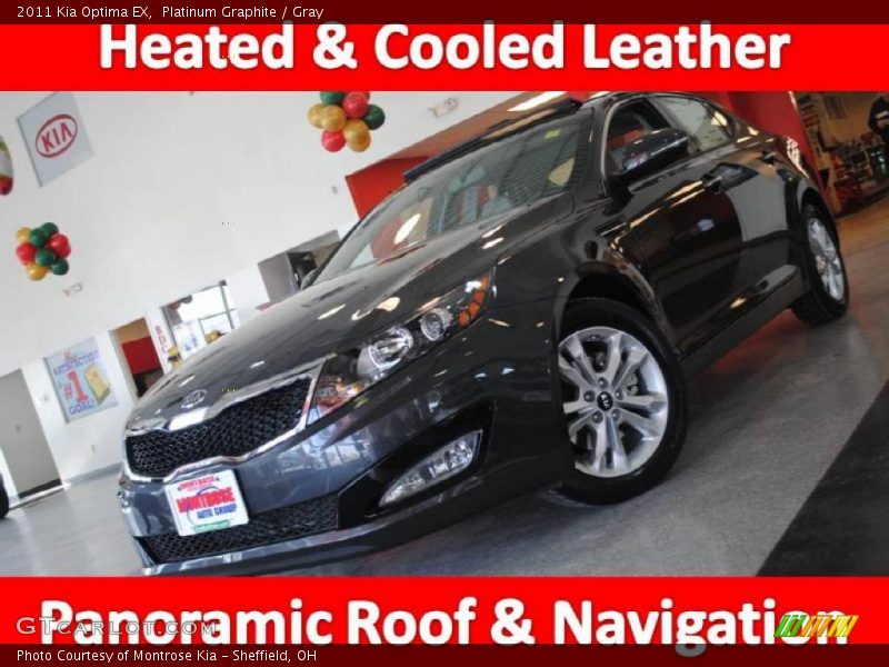 Platinum Graphite / Gray 2011 Kia Optima EX