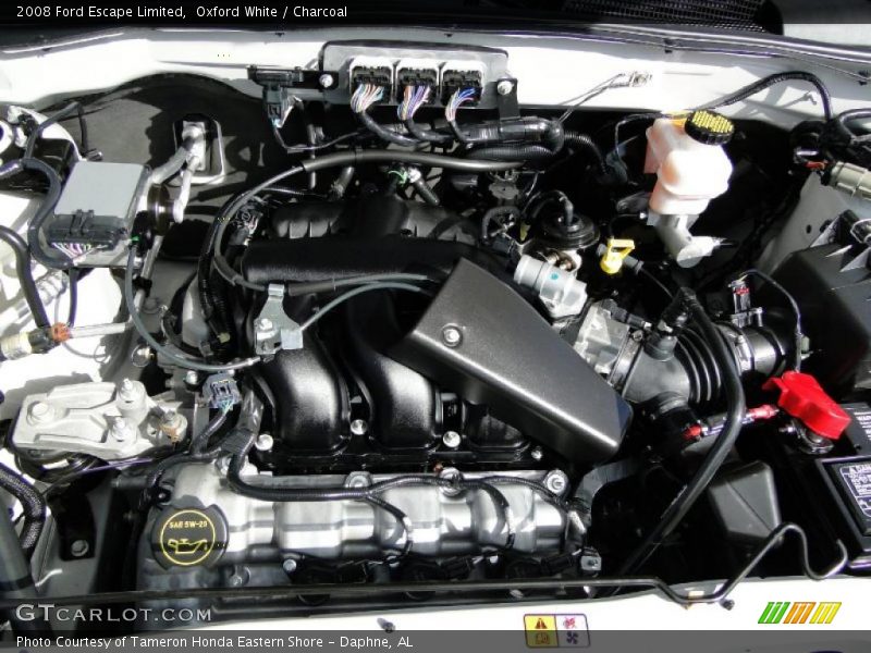 Oxford White / Charcoal 2008 Ford Escape Limited