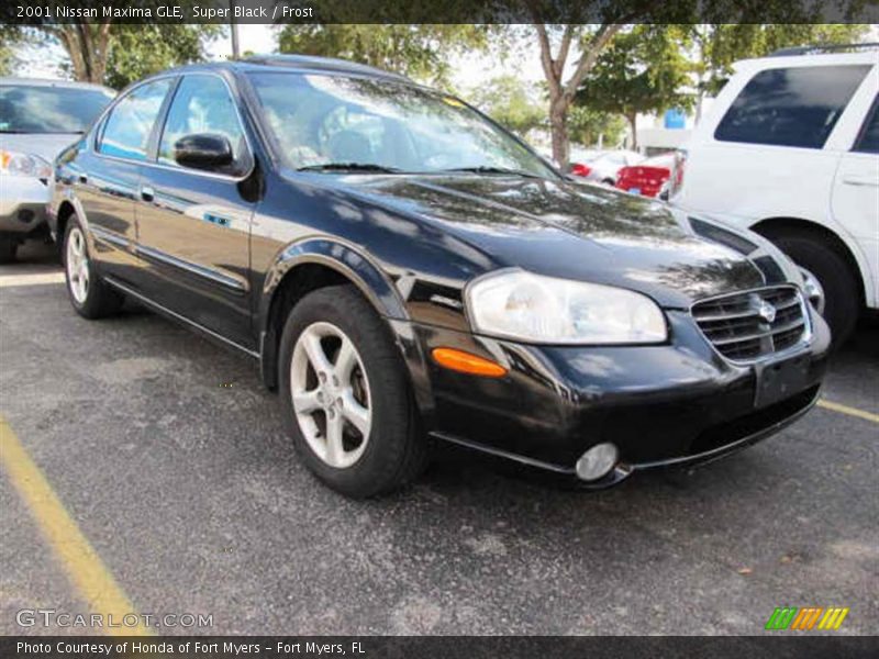 Super Black / Frost 2001 Nissan Maxima GLE