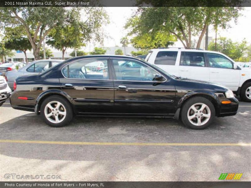 Super Black / Frost 2001 Nissan Maxima GLE