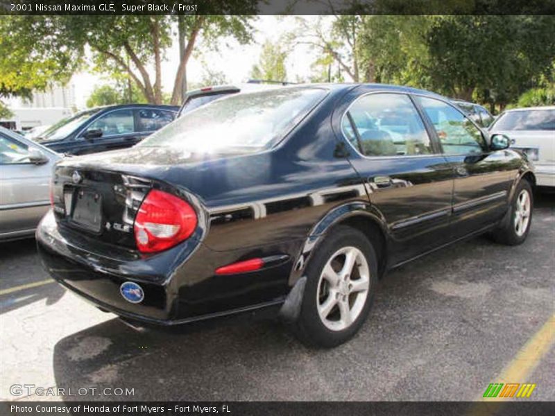 Super Black / Frost 2001 Nissan Maxima GLE