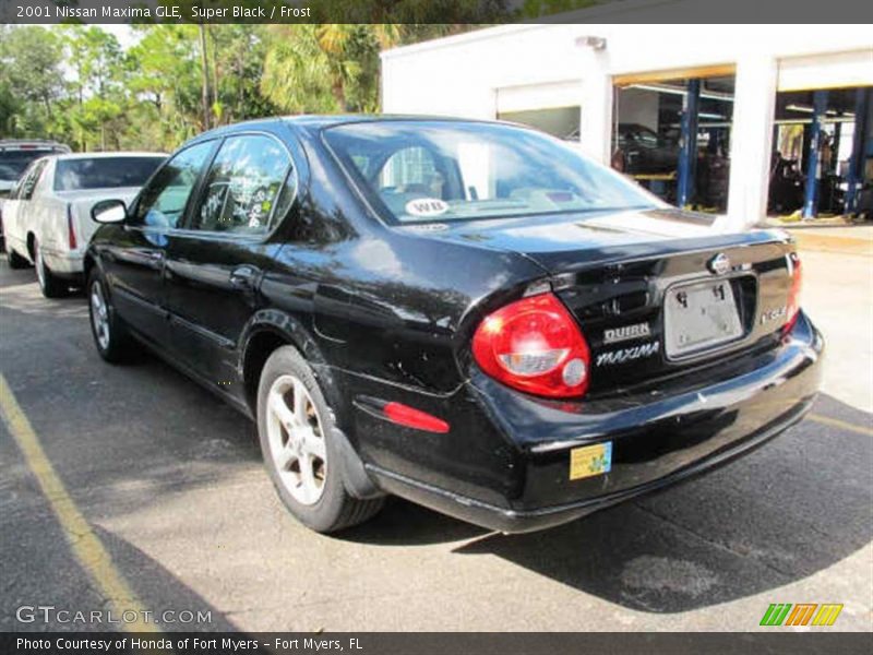 Super Black / Frost 2001 Nissan Maxima GLE