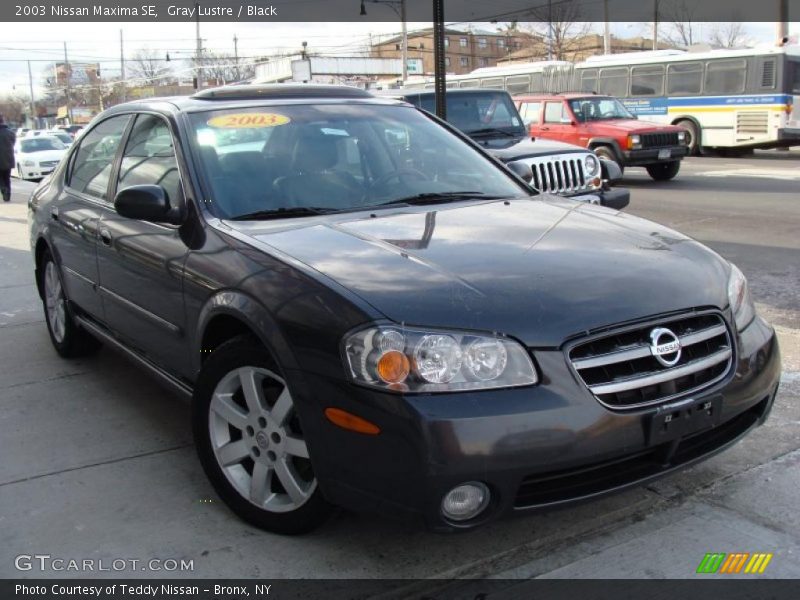 Gray Lustre / Black 2003 Nissan Maxima SE