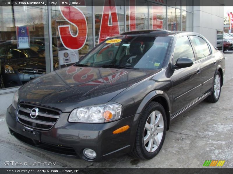 Gray Lustre / Black 2003 Nissan Maxima SE