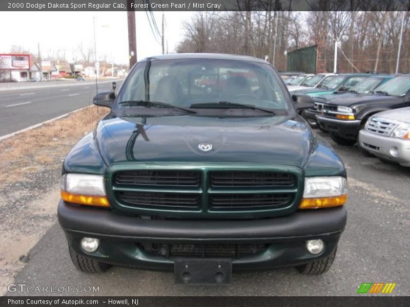 Forest Green Pearl / Mist Gray 2000 Dodge Dakota Sport Regular Cab