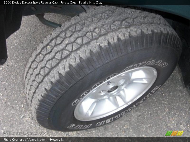 Forest Green Pearl / Mist Gray 2000 Dodge Dakota Sport Regular Cab