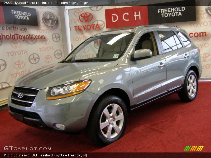 Platinum Sage / Beige 2009 Hyundai Santa Fe Limited