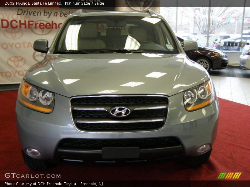 Platinum Sage / Beige 2009 Hyundai Santa Fe Limited