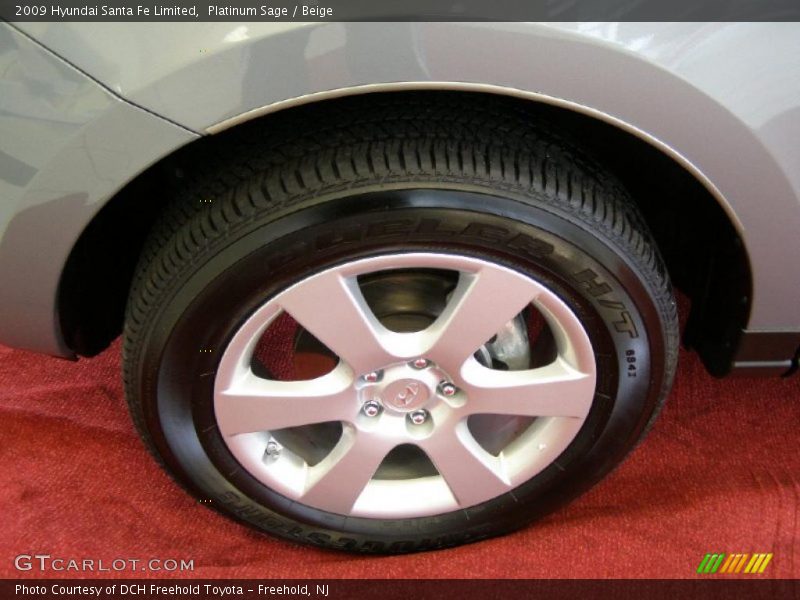Platinum Sage / Beige 2009 Hyundai Santa Fe Limited