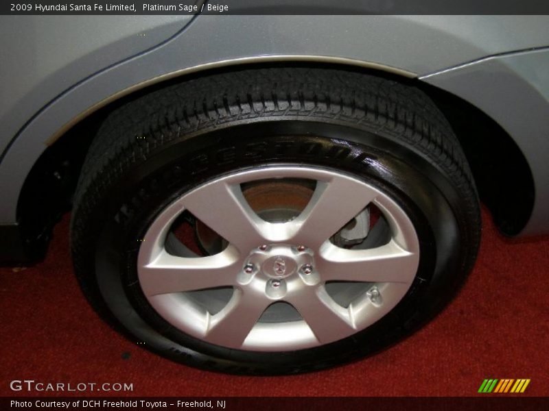Platinum Sage / Beige 2009 Hyundai Santa Fe Limited