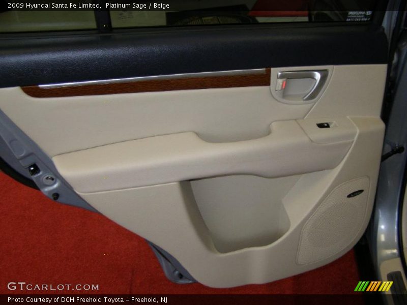 Platinum Sage / Beige 2009 Hyundai Santa Fe Limited