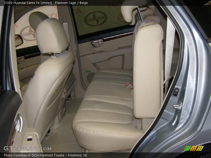 Platinum Sage / Beige 2009 Hyundai Santa Fe Limited