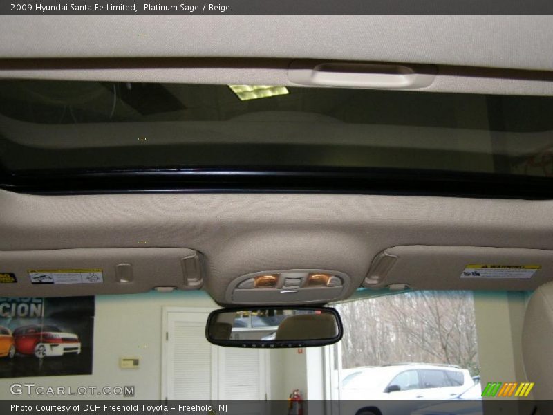 Platinum Sage / Beige 2009 Hyundai Santa Fe Limited