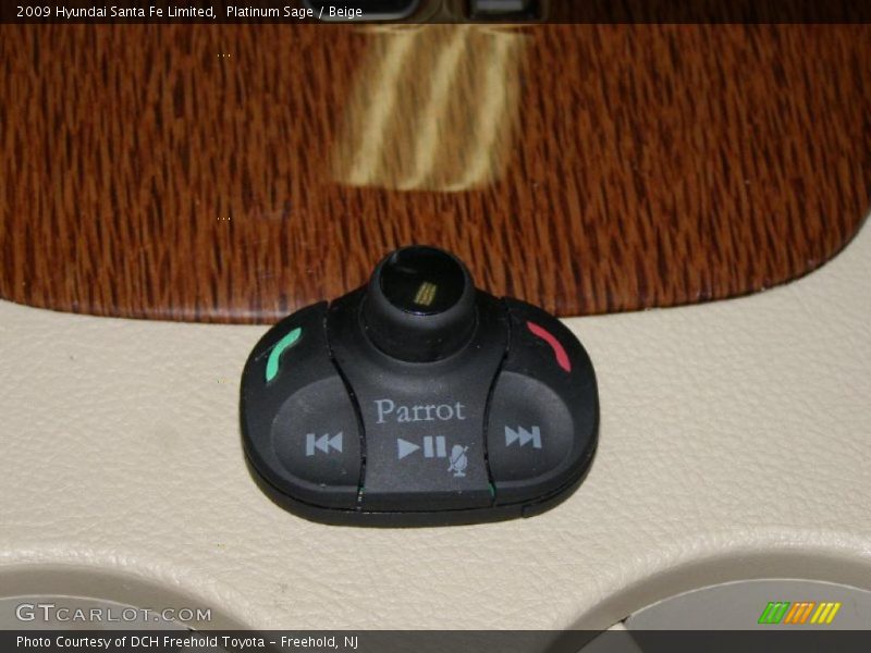 Platinum Sage / Beige 2009 Hyundai Santa Fe Limited