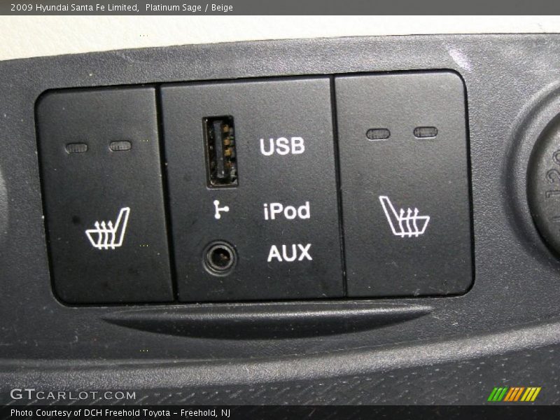 Platinum Sage / Beige 2009 Hyundai Santa Fe Limited