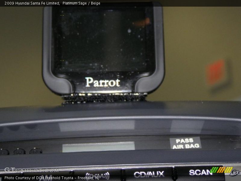 Platinum Sage / Beige 2009 Hyundai Santa Fe Limited