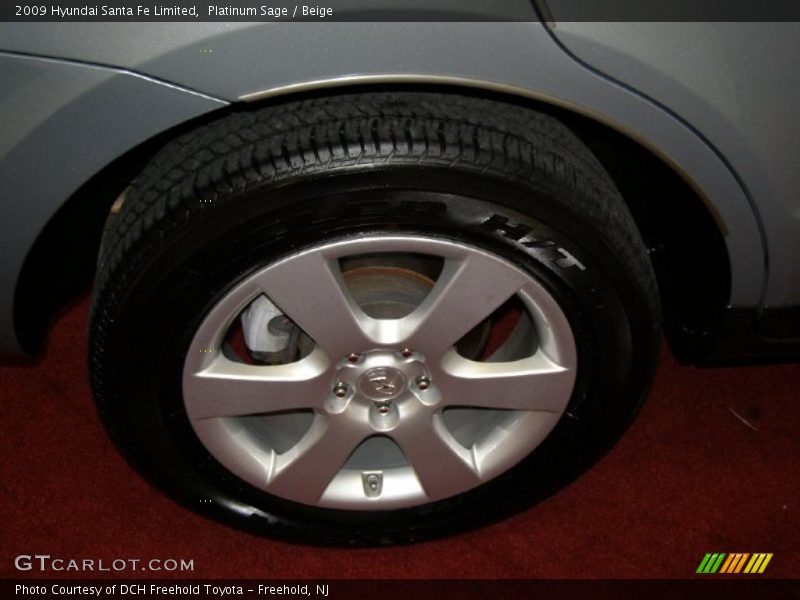 Platinum Sage / Beige 2009 Hyundai Santa Fe Limited