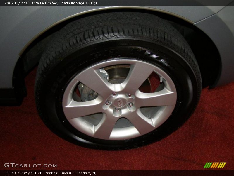 Platinum Sage / Beige 2009 Hyundai Santa Fe Limited