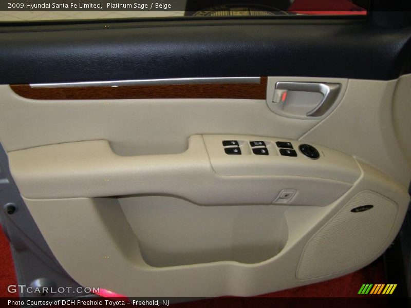 Platinum Sage / Beige 2009 Hyundai Santa Fe Limited