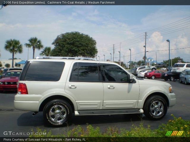 Cashmere Tri-Coat Metallic / Medium Parchment 2006 Ford Expedition Limited