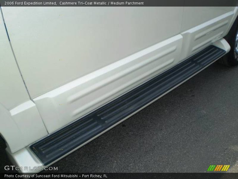 Cashmere Tri-Coat Metallic / Medium Parchment 2006 Ford Expedition Limited