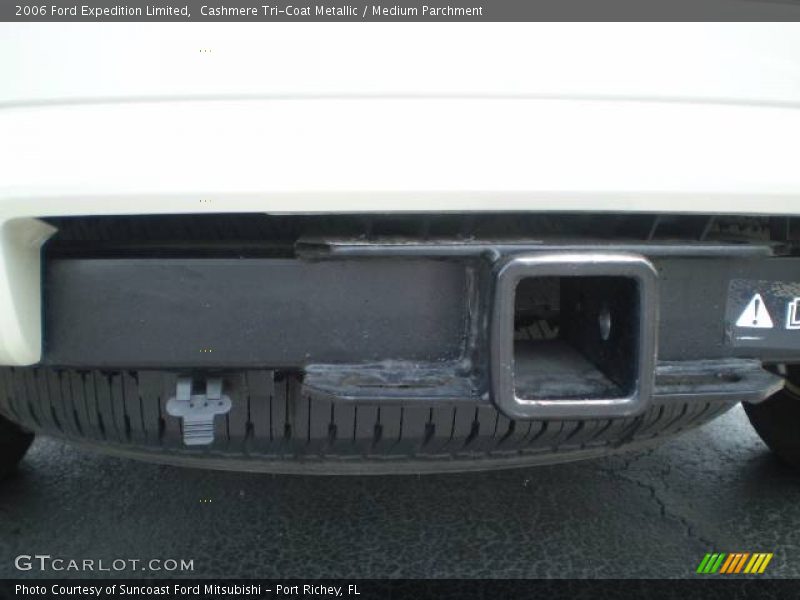 Cashmere Tri-Coat Metallic / Medium Parchment 2006 Ford Expedition Limited