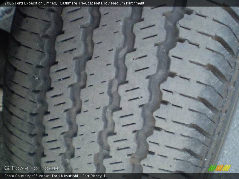 Cashmere Tri-Coat Metallic / Medium Parchment 2006 Ford Expedition Limited