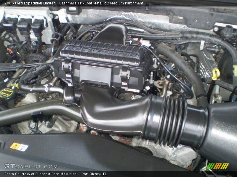 Cashmere Tri-Coat Metallic / Medium Parchment 2006 Ford Expedition Limited