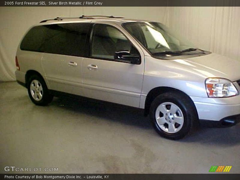 Silver Birch Metallic / Flint Grey 2005 Ford Freestar SES