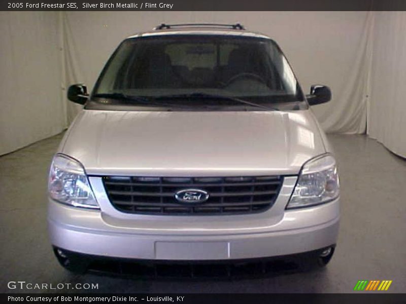 Silver Birch Metallic / Flint Grey 2005 Ford Freestar SES