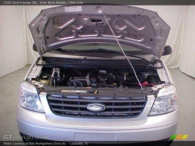 Silver Birch Metallic / Flint Grey 2005 Ford Freestar SES