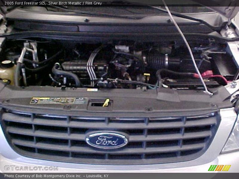 Silver Birch Metallic / Flint Grey 2005 Ford Freestar SES