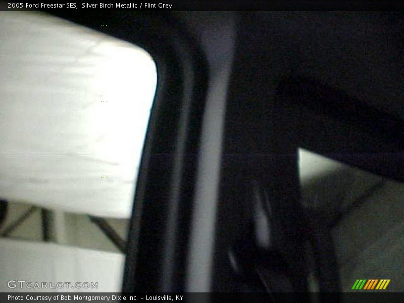 Silver Birch Metallic / Flint Grey 2005 Ford Freestar SES