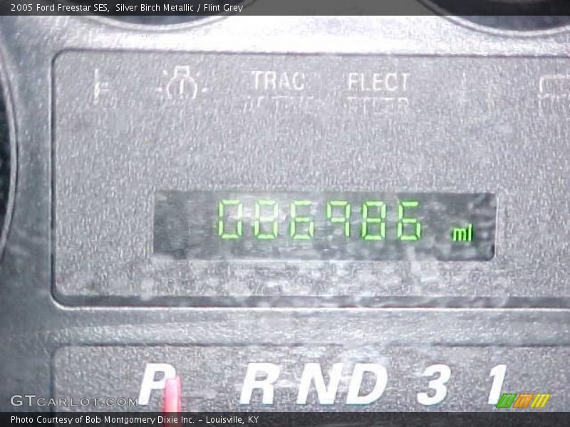 Silver Birch Metallic / Flint Grey 2005 Ford Freestar SES