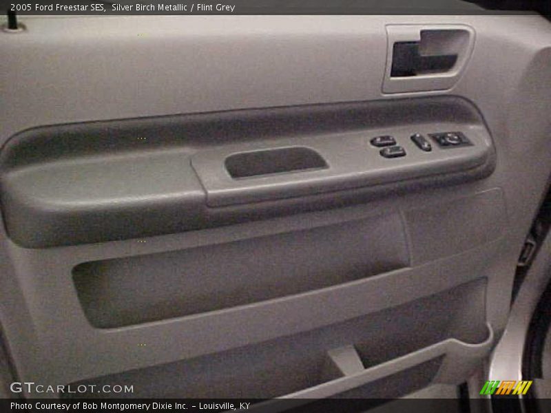 Silver Birch Metallic / Flint Grey 2005 Ford Freestar SES