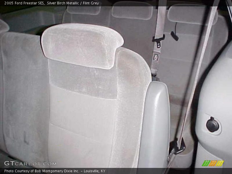 Silver Birch Metallic / Flint Grey 2005 Ford Freestar SES