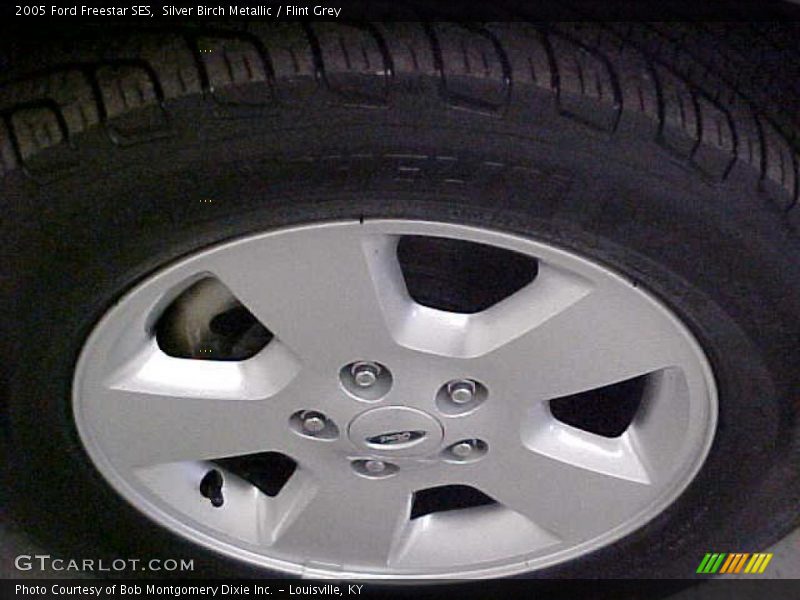 Silver Birch Metallic / Flint Grey 2005 Ford Freestar SES