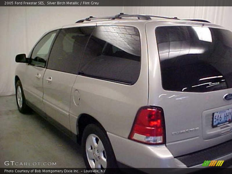Silver Birch Metallic / Flint Grey 2005 Ford Freestar SES