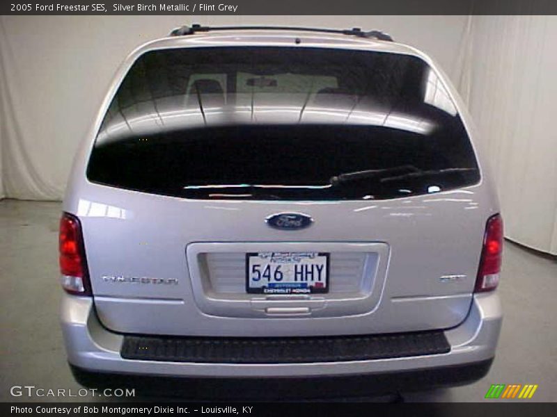 Silver Birch Metallic / Flint Grey 2005 Ford Freestar SES
