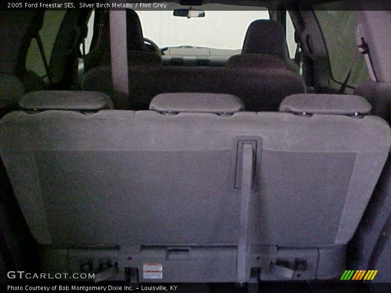 Silver Birch Metallic / Flint Grey 2005 Ford Freestar SES
