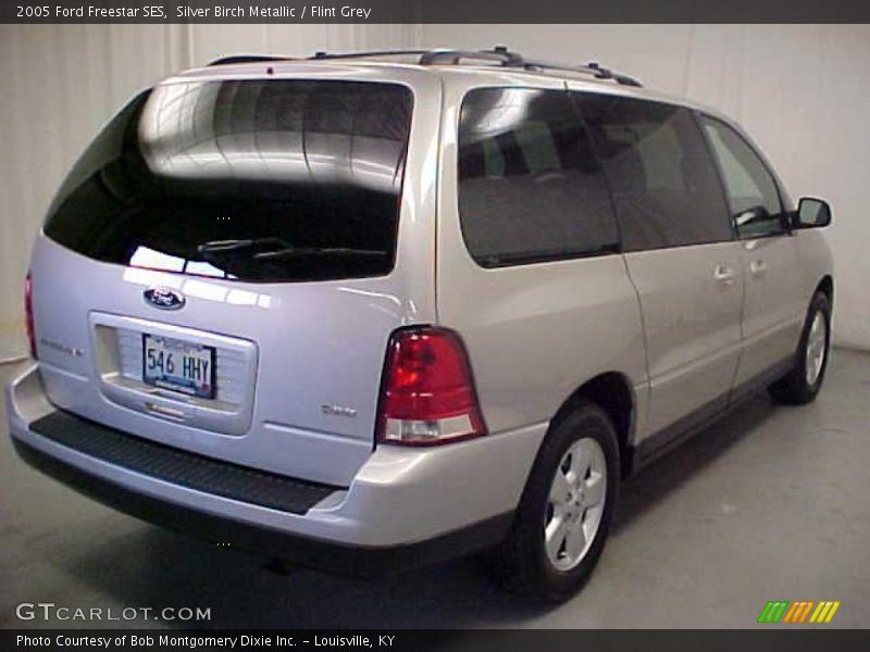 Silver Birch Metallic / Flint Grey 2005 Ford Freestar SES
