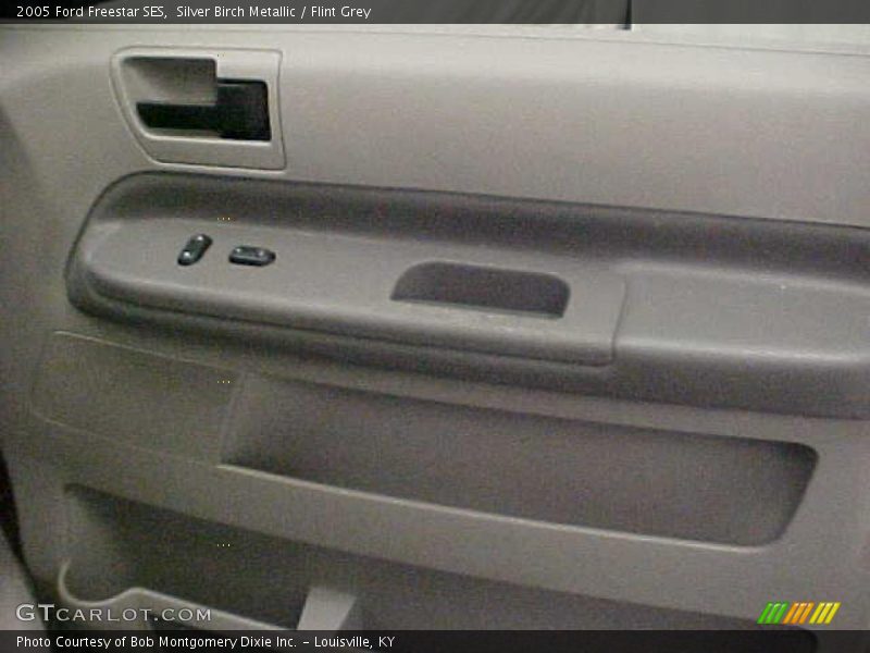 Silver Birch Metallic / Flint Grey 2005 Ford Freestar SES
