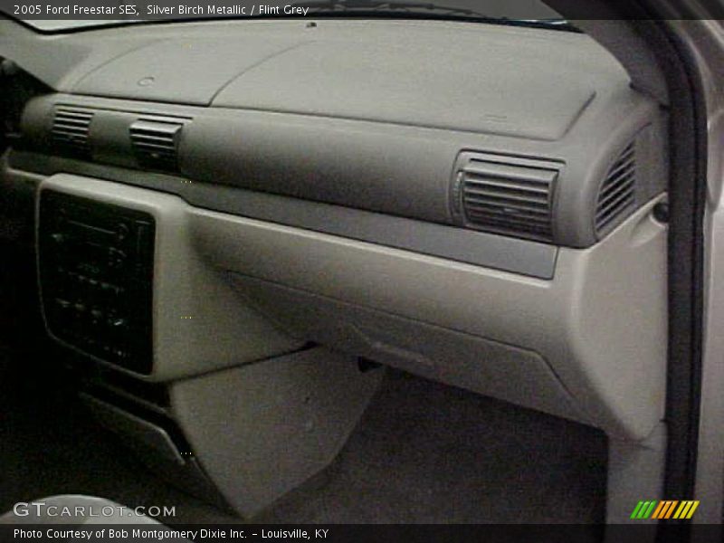 Silver Birch Metallic / Flint Grey 2005 Ford Freestar SES