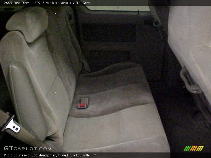 Silver Birch Metallic / Flint Grey 2005 Ford Freestar SES